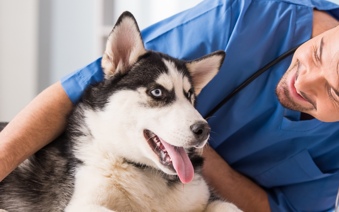 Στείρωση: Πότε είναι η κατάλληλη στιγμή;